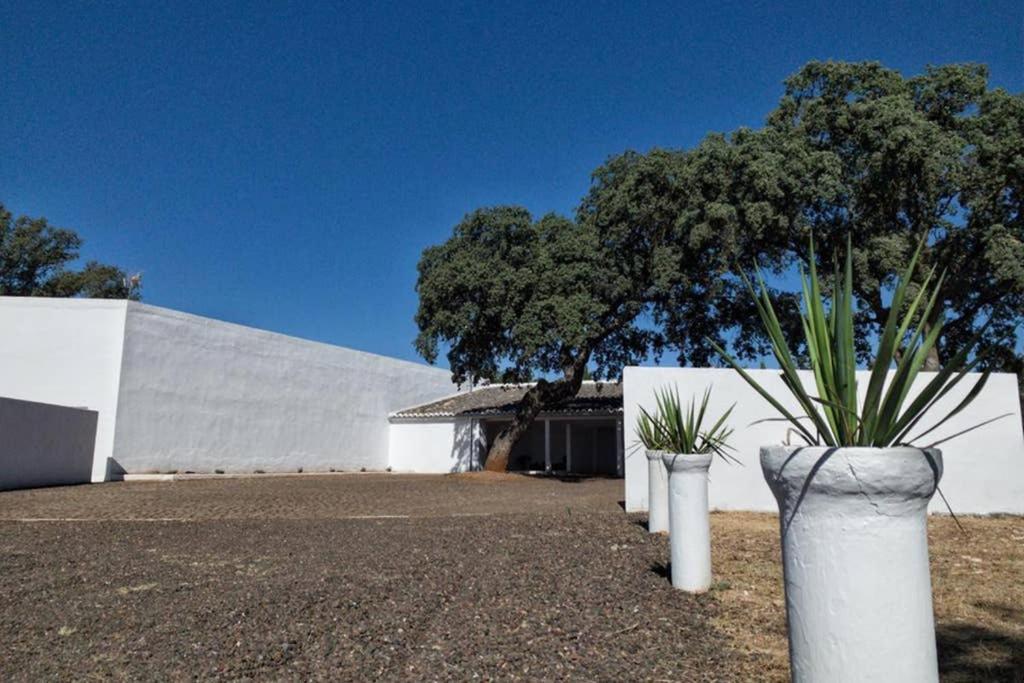 Villa Casa Del Principe Daimiel Esterno foto
